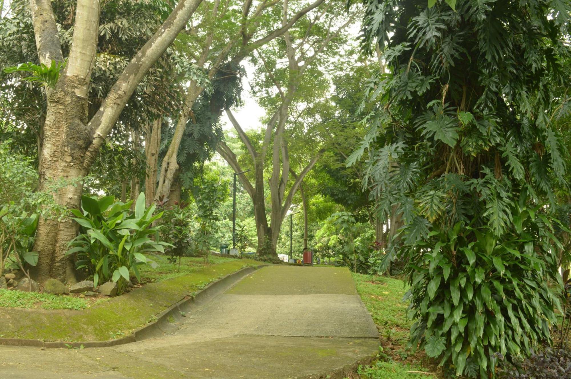 Totumas Lodge Panama by Eksteriør bilde